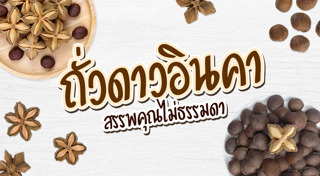 ธัญพืชเพื่อสุขภาพ