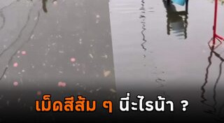 ยาเสพติด