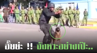 สุนัขทหาร