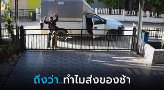 มิตรภาพคนกับสัตว์