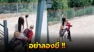 นกกระจอกเทศ