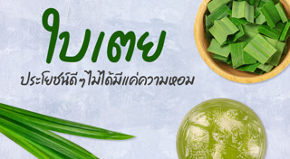 สมุนไพรรักษาโรค