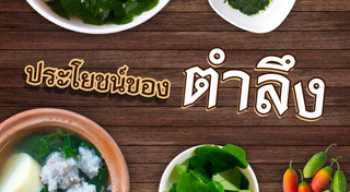 สมุนไพรพื้นบ้าน