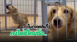 หมาแสนรู้