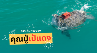 สัตว์ทะเล