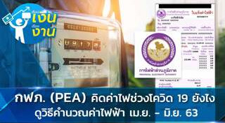 การไฟฟ้าส่วนภูมิภาค