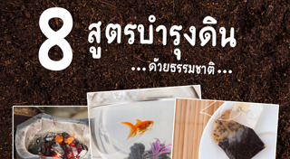 วิธีดูแลสวน