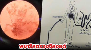 หมอแล็บแพนด้า