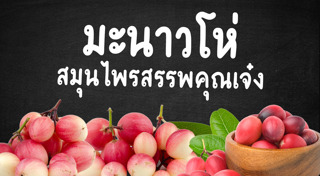 มะม่วงหาวมะนาวโห่