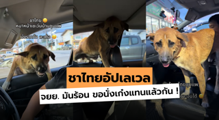 หมาน่ารัก