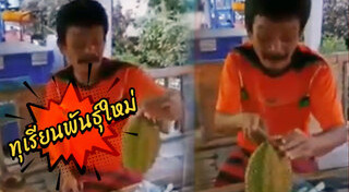 ผลไม้อบแห้ง