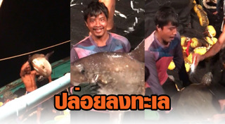 เรือประมง