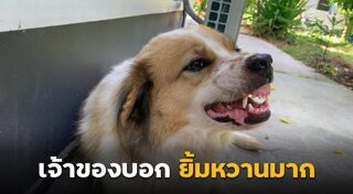 บางแก้ว