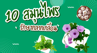 โรคผิวหนัง