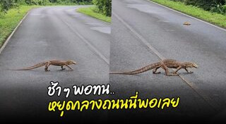 ตัวเงินตัวทอง