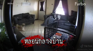 อาถรรพ์