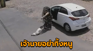 หมาพิการ