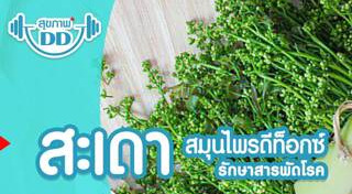 สะเดา