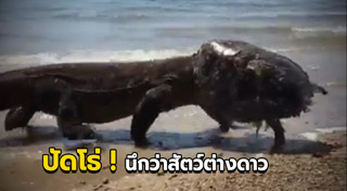 มังกรโคโมโด