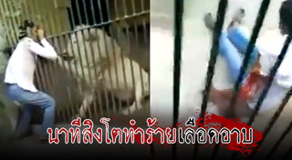 สิงโตกินคน