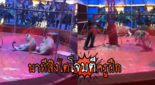 สิงโตกินคน