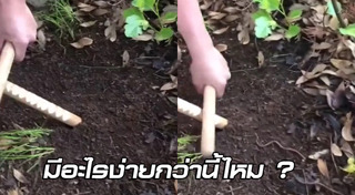 ไส้เดือน