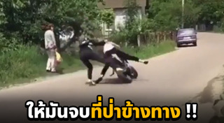 สาวขี่บิ๊กไบค์