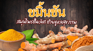 ขมิ้นชัน