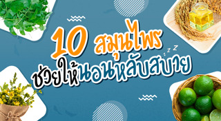 สมุนไพรช่วยให้นอนหลับ