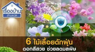 ไม้เลื้อย