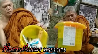 ถวายสังฆทาน