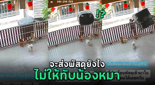 กล่องพัสดุ