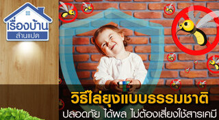 วิธีกำจัดยุง