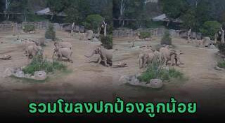 แผ่นดินไหว