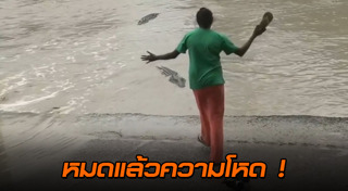 จระเข้น้ำเค็ม