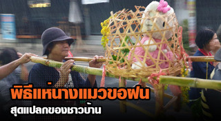 แห่นางแมว