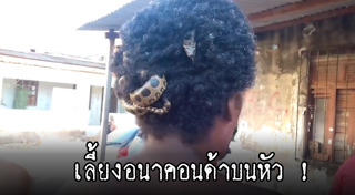 งูอนาคอนด้า