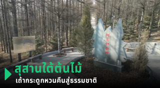 สุสานคน