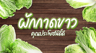ผักกาดขาว