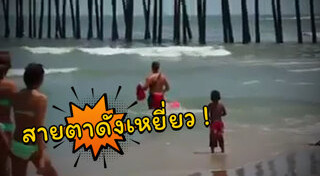 ไลฟ์การ์ด