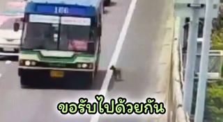 คนขับรถเมล์