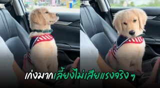 หมาแสนรู้