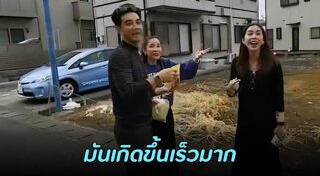 ดาราเที่ยวญี่ปุ่น