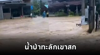น้ำท่วมภาคใต้
