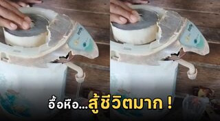 เครื่องใช้ไฟฟ้า