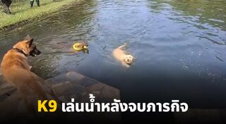 สุนัขตํารวจ