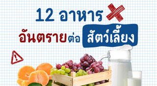 อาหารสัตว์เลี้ยง