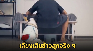 เฟรนช์ บูลด็อก