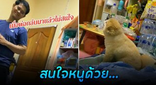 ปอมเมอเรเนียน