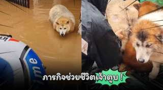 น้ำท่วมเชียงราย